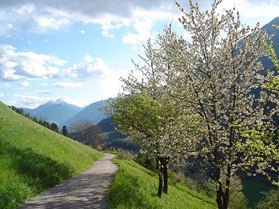 Strickerhof im Passeiertal